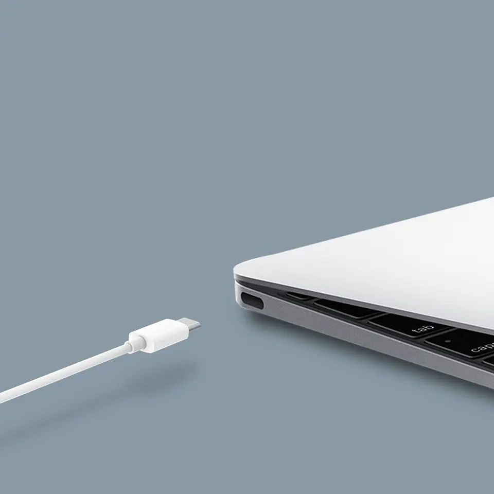 Cable Xiaomi Mi Usb Tipo-C 100cm Blanco 6
