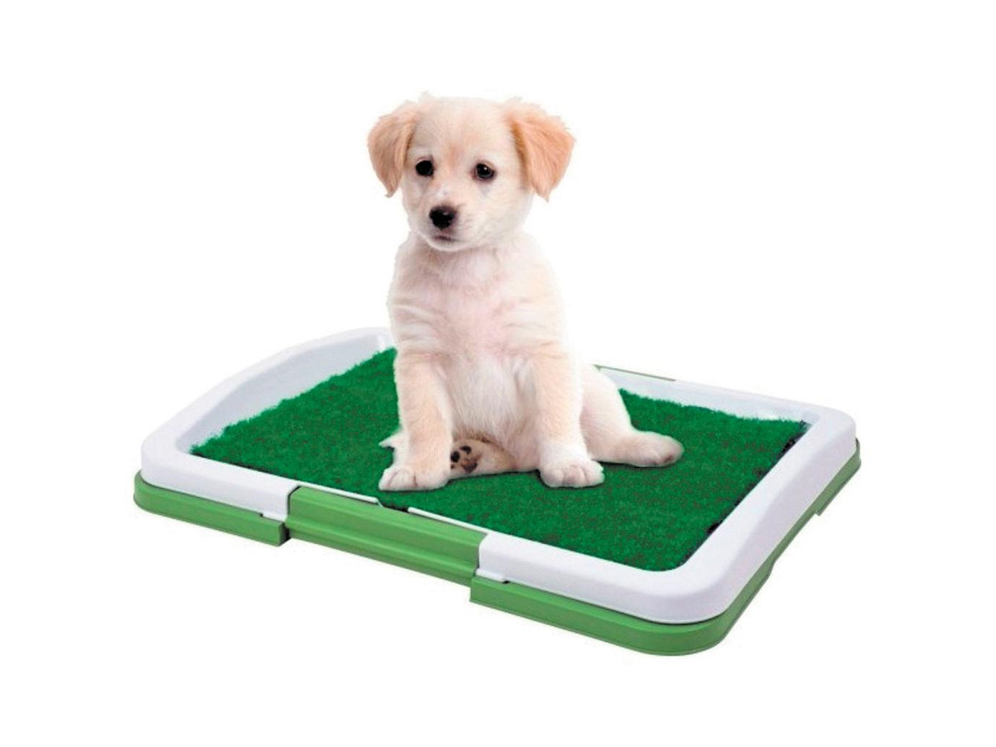 Baño Sanitario Perros Y Gatos Ecológico 3 Niveles 1