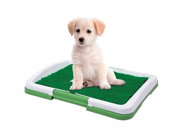 Baño Sanitario Perros Y Gatos Ecológico 3 Niveles 1