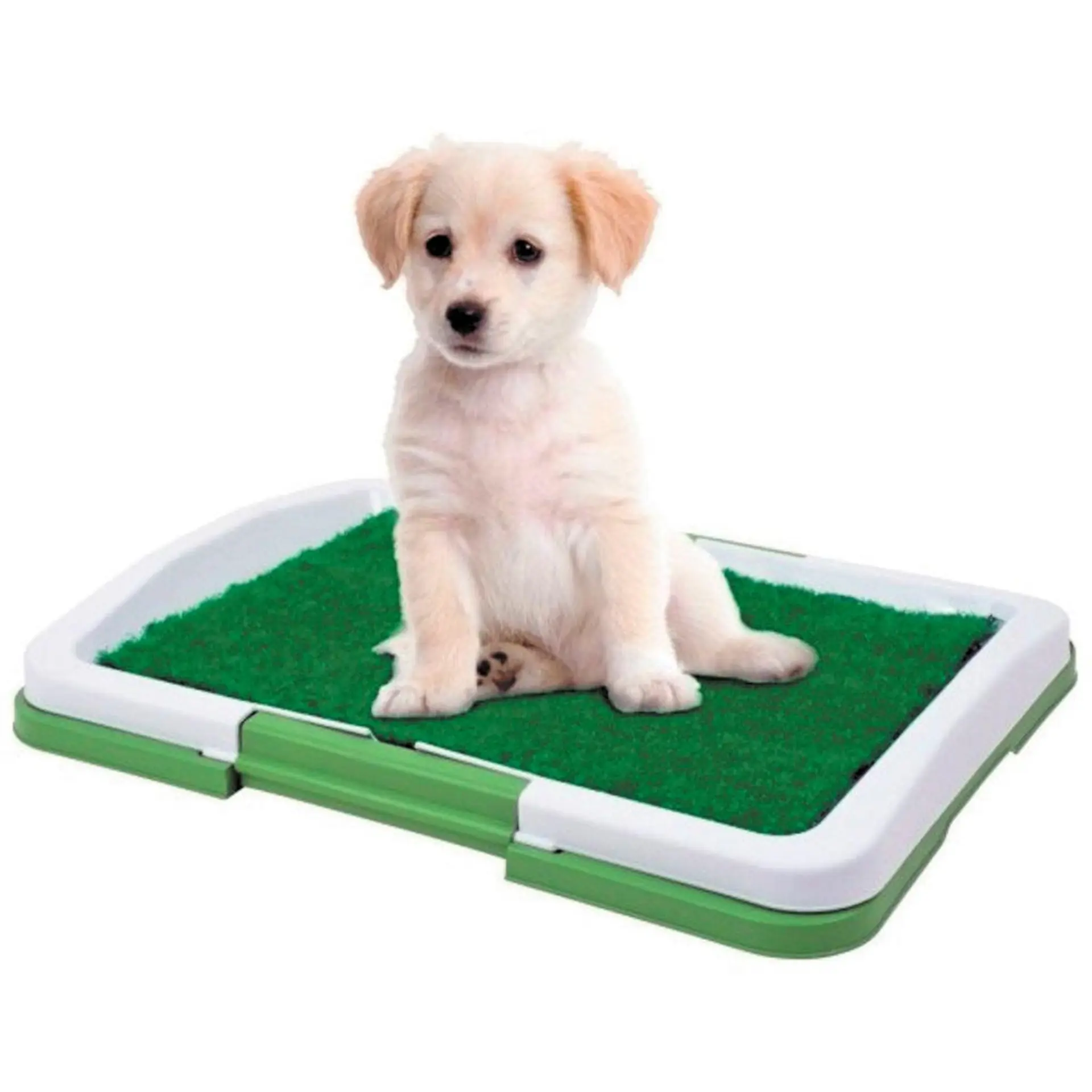 Baño Sanitario Perros Y Gatos Ecológico 3 Niveles 1
