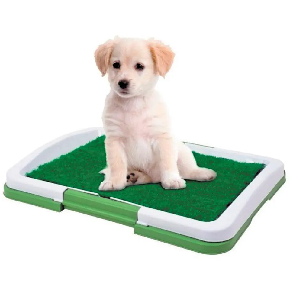 Baño Sanitario Perros Y Gatos Ecológico 3 Niveles 1