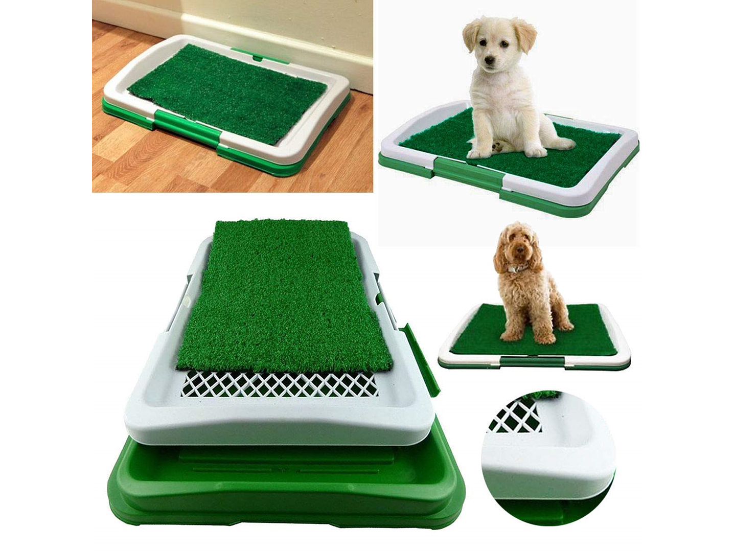 Baño Sanitario Perros Y Gatos Ecológico 3 Niveles 3