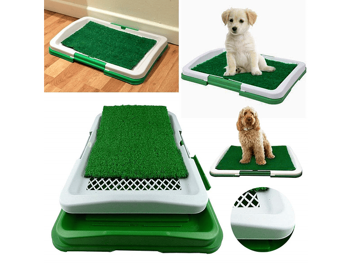 Baño Sanitario Perros Y Gatos Ecológico 3 Niveles 3