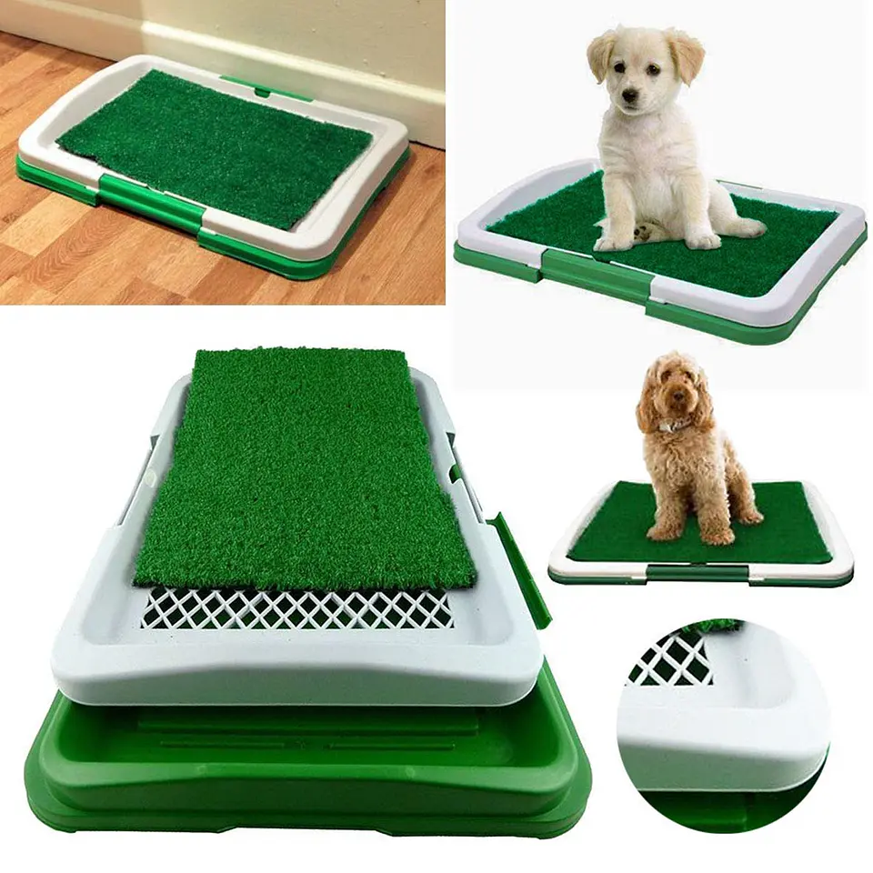 Baño Sanitario Perros Y Gatos Ecológico 3 Niveles 3
