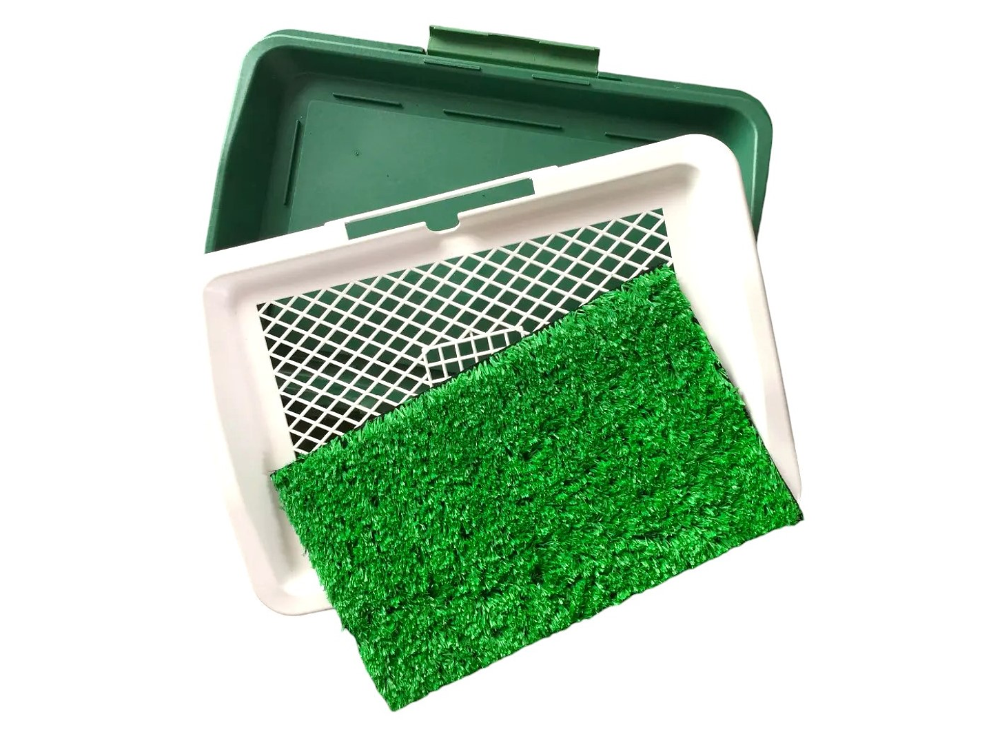 Baño Sanitario Perros Y Gatos Ecológico 3 Niveles 4