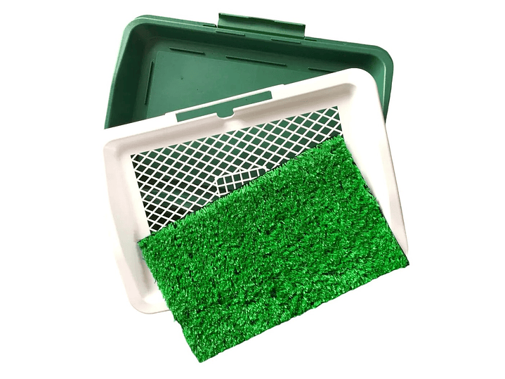 Baño Sanitario Perros Y Gatos Ecológico 3 Niveles 4