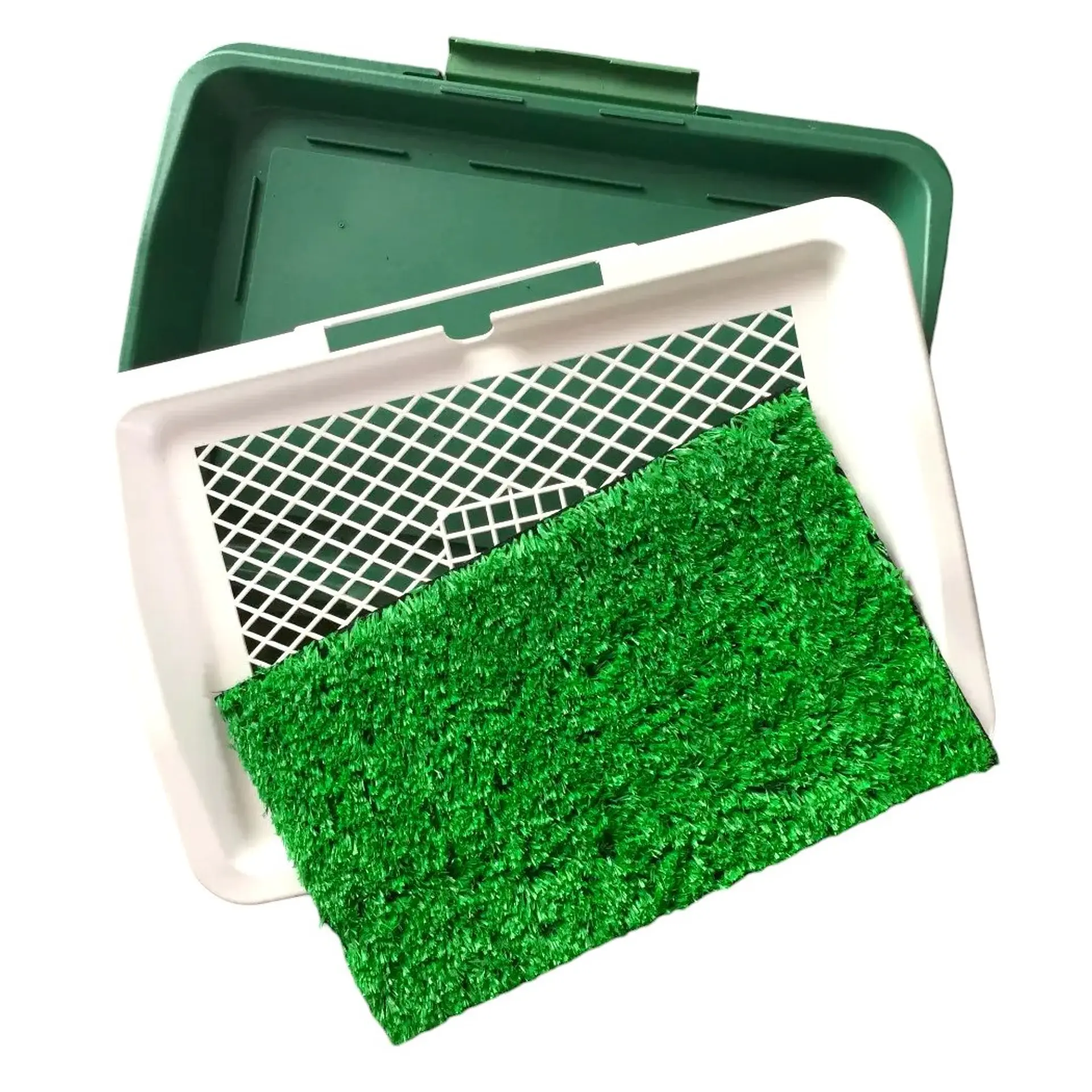 Baño Sanitario Perros Y Gatos Ecológico 3 Niveles 4