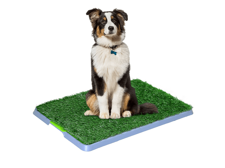 Baño Ecológico Para Mascotas Perros Potty 43x68 cm 1