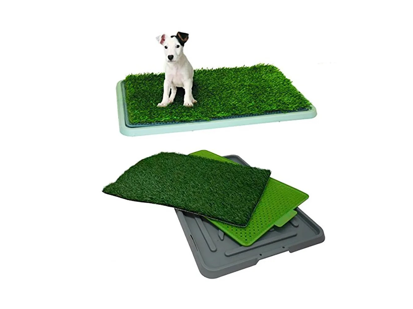 Baño Ecológico Para Mascotas Perros Potty 43x68 cm 4