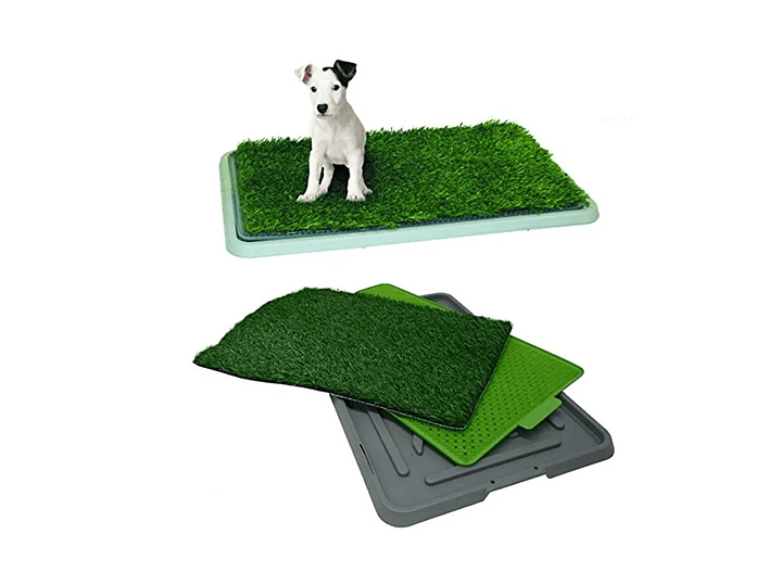 Baño Ecológico Para Mascotas Perros Potty 43x68 cm 4