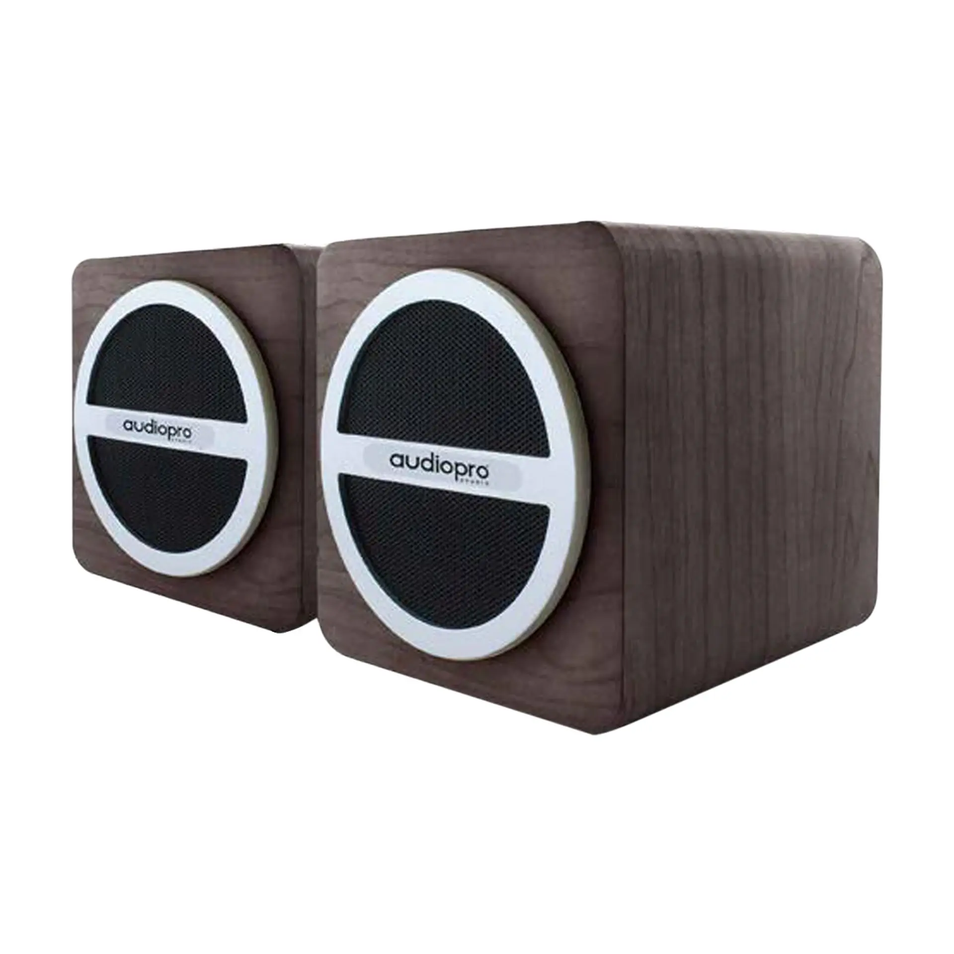 Par De Parlante Portatil Sd/usb/ Fm Y Bt Audiopro AP01016 1