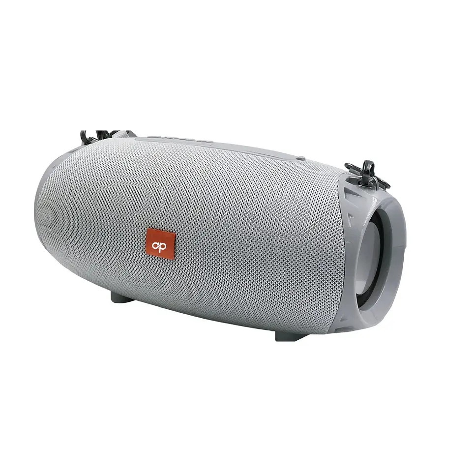 Parlante Inalámbrico BT Audiopro Usb/Sd AP02062W Gris  1