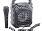Parlante Karaoke Mini Idol 8W Bluetooth FM Radio USB Fiddler - Miniatura 6