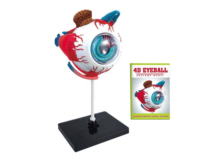 Ojo 4d Rompecabeza Puzzle Armar Didáctico Educativo 55514 1