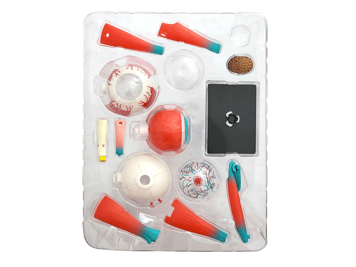 Ojo 4d Rompecabeza Puzzle Armar Didáctico Educativo 55514 5