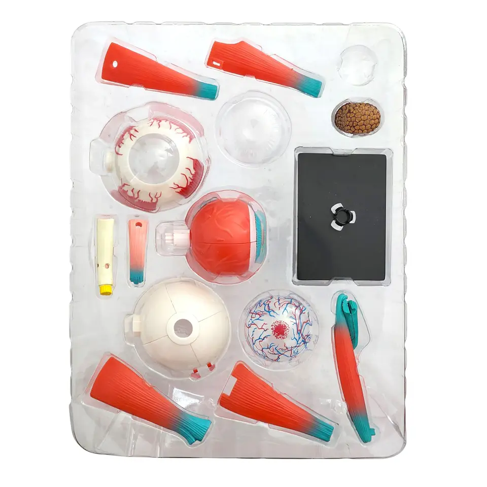 Ojo 4d Rompecabeza Puzzle Armar Didáctico Educativo 55514 5