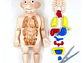 Juguete Rompecabezas Anatomía del Cuerpo Humano 55706 - Miniatura 3