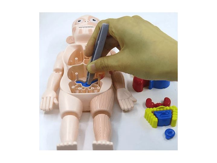 Juguete Rompecabezas Anatomía del Cuerpo Humano 55706 7