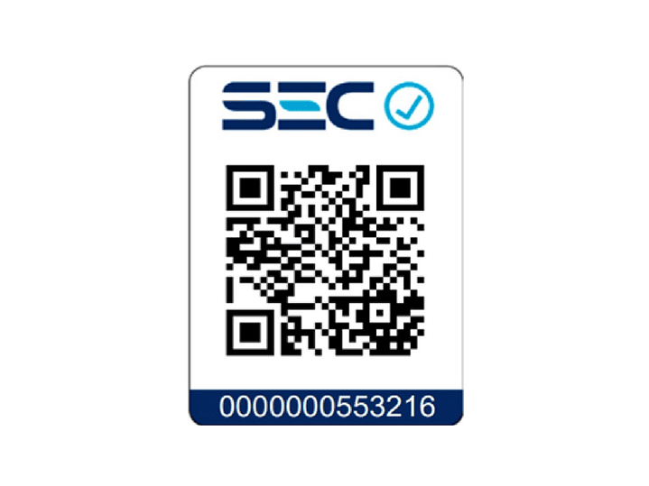 Cepillo Secador de Pelo 1200w Caletea MGF7561 Magefesa 6