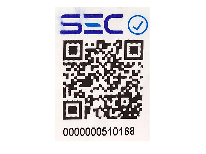 Plancha Vapor para Ropa 2400w Cruise Blue MGF6229 Magefesa 4