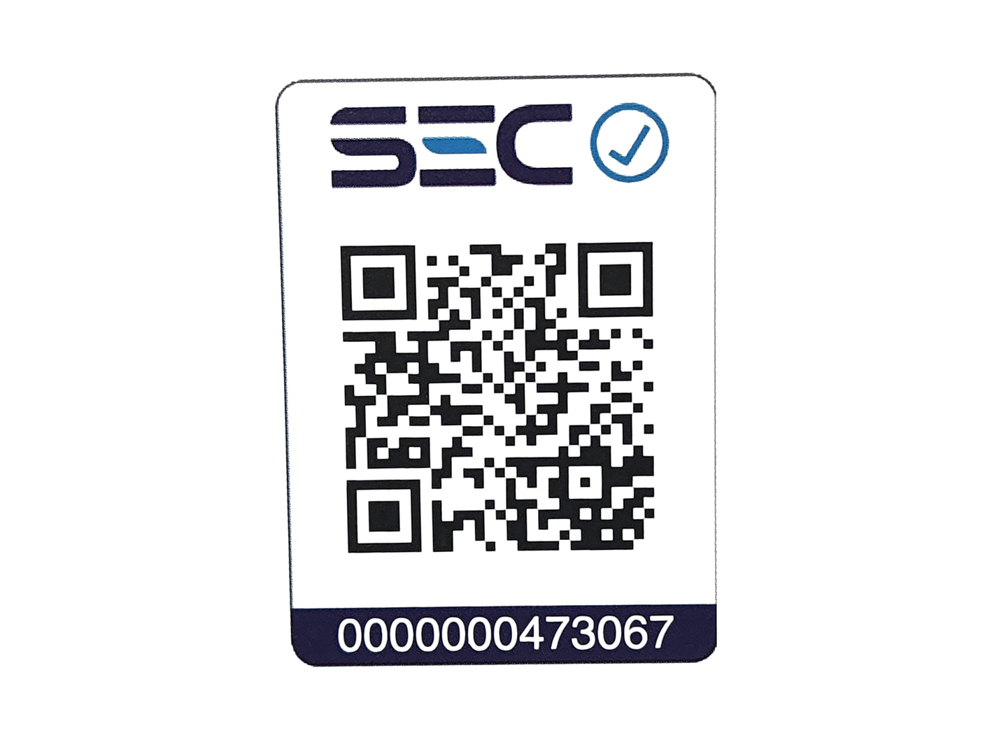 Cepillo Secador Brushpro Tourmaline Ion Pro 4 en 1 Blaupunkt 8