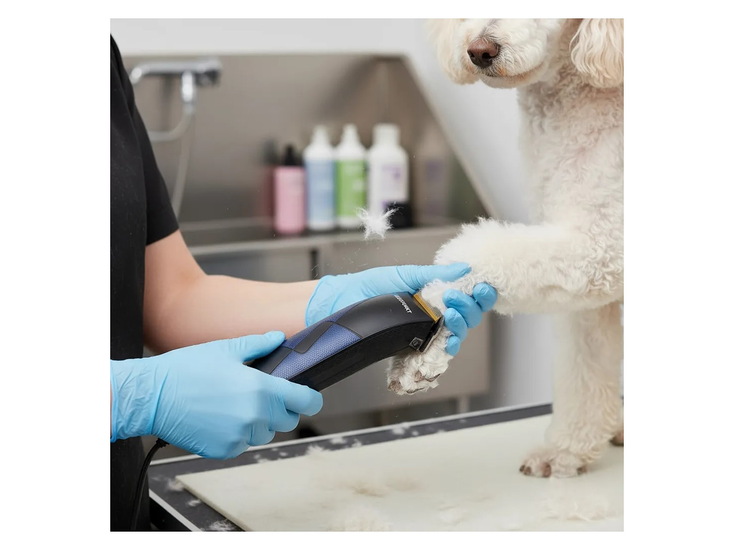 Cortadora de Pelo para Mascotas Vet Clipper Azul Blaupunkt 7