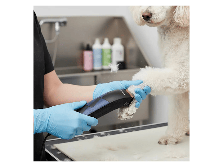 Cortadora de Pelo para Mascotas Vet Clipper Azul Blaupunkt 7
