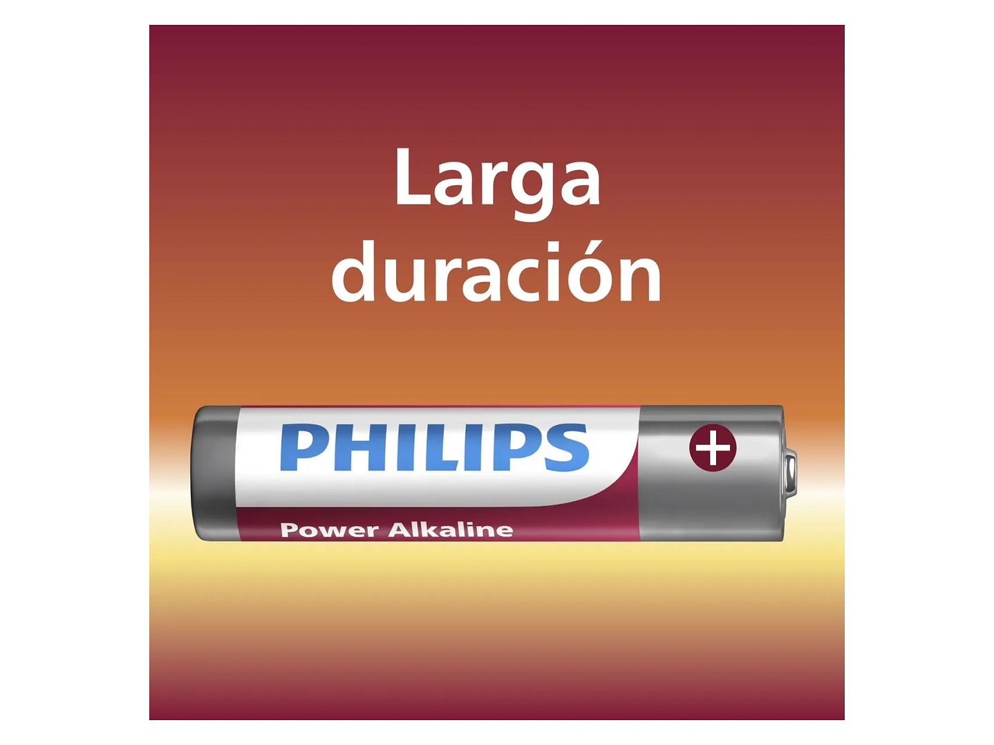Pack 2 Pilas AA (Doble A) Alcalinas LR6P2B Philips 4