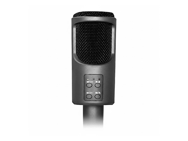 Micrófono Condensador USB Audiopro AP02030 3