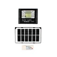 Reflector Solar 100W LED IP67 Sensor y Control RM0008 Raimax - Miniatura 1