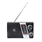 Radio Portátil AM FM SW Solar Band 3 LED USB TL635 Tecnolab - Miniatura 1