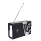 Radio Portátil AM FM SW Solar Band 3 LED USB TL635 Tecnolab - Miniatura 2