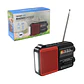 Radio Portátil Solar AM FM SW LED 15W TL653R Tecnolab Rojo - Miniatura 6