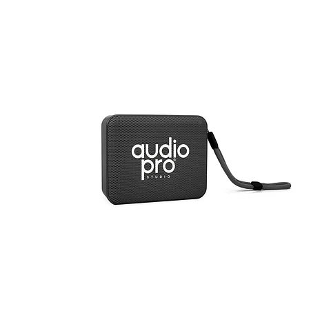 Parlante portátil AudioPro AP02092BK Bluetooth FM