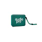 Parlante portátil AudioPro AP02092G Bluetooth FM - Miniatura 1