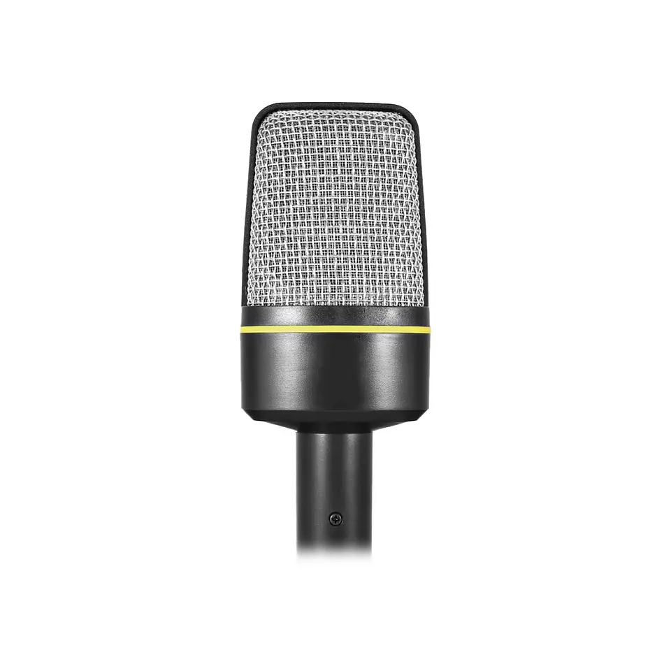 Micrófono Condensador Home Studio AudioPro 03-AP02032 2