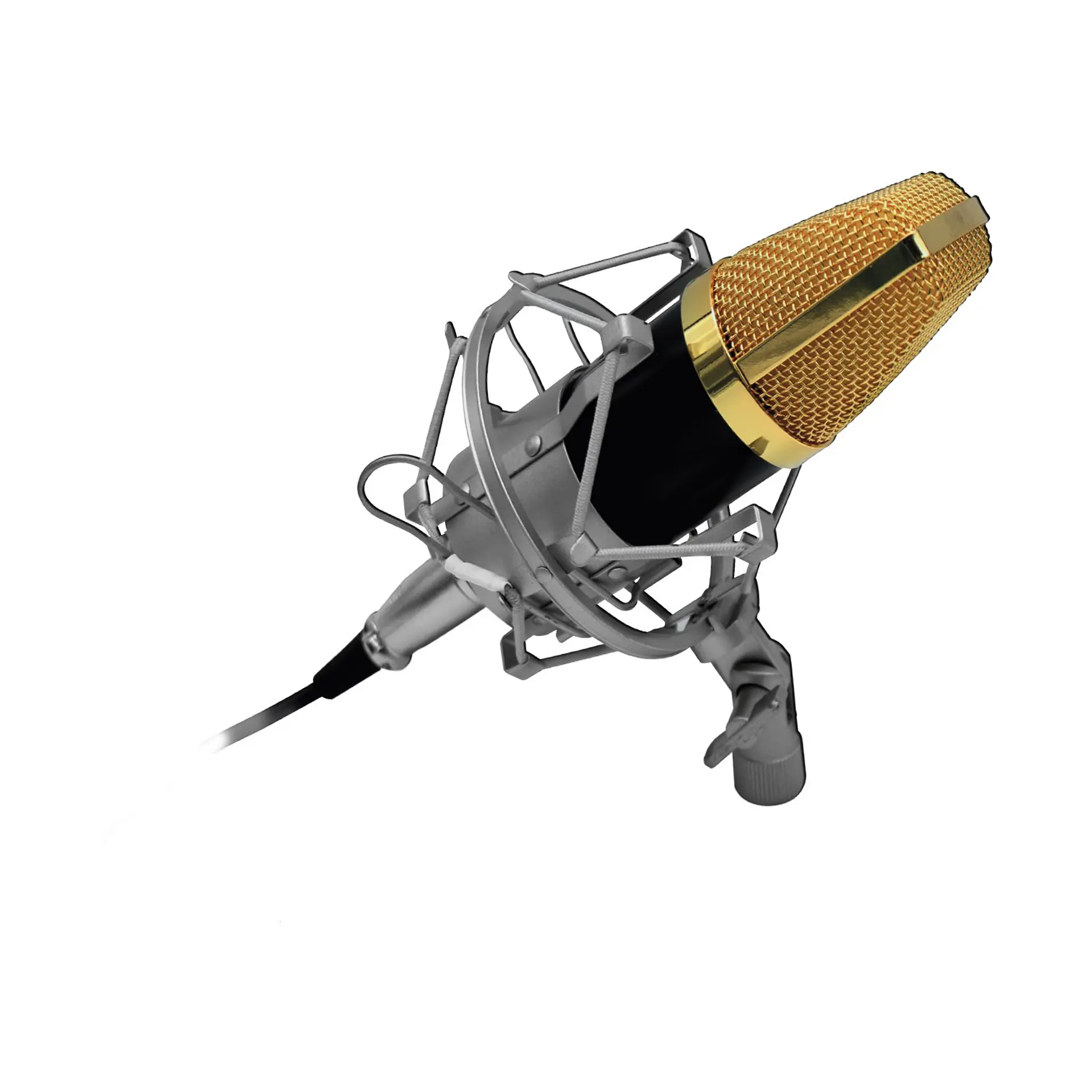 Micrófono condensador profesional AudioPro 03-AP02033 2
