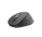 Mouse Bluetooth silencioso Logitech Signature Comfort Plus M850 L grafito por mayor - Miniatura 2