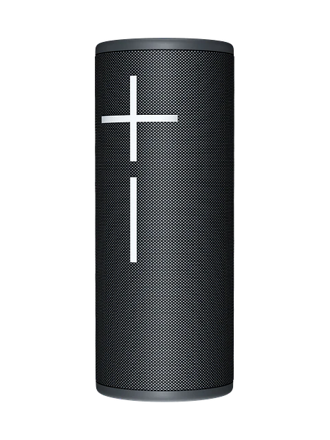 Parlante Bluetooth Ultimate Ears BOOM 4 Negro por mayor