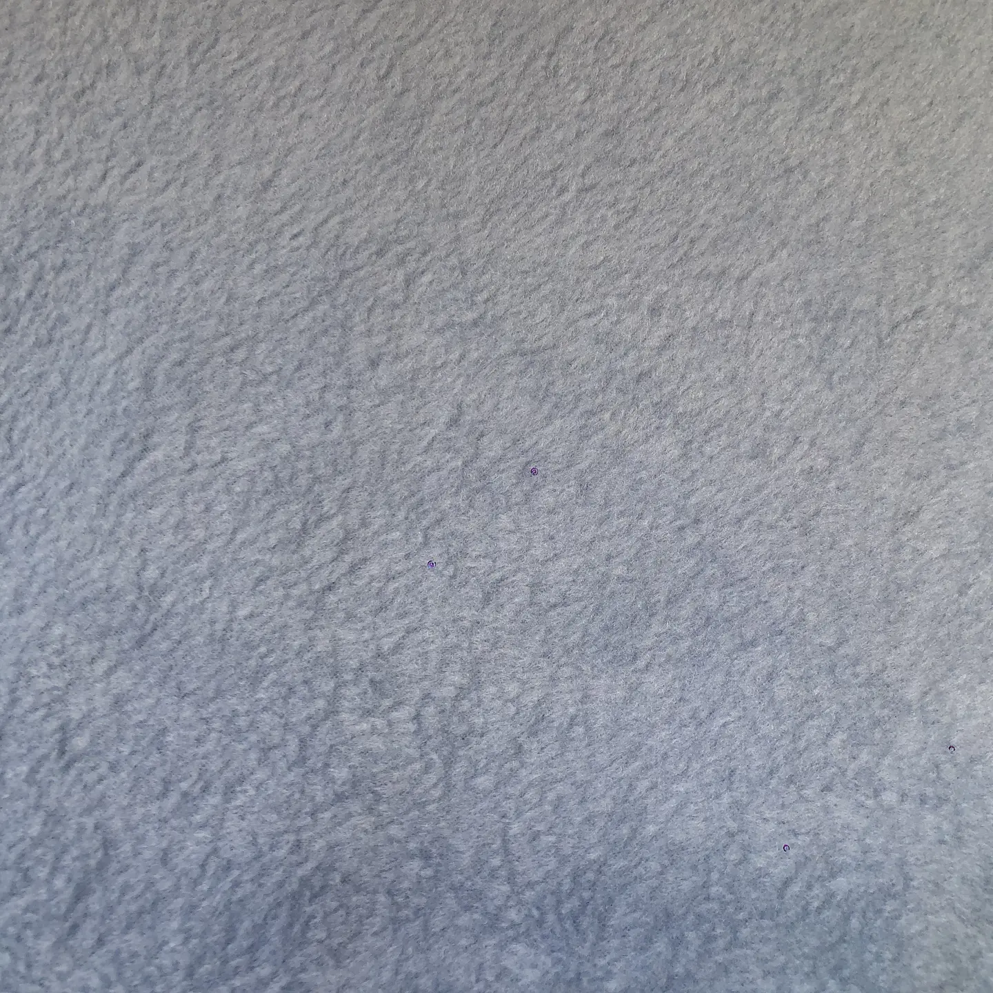 Polar 7
