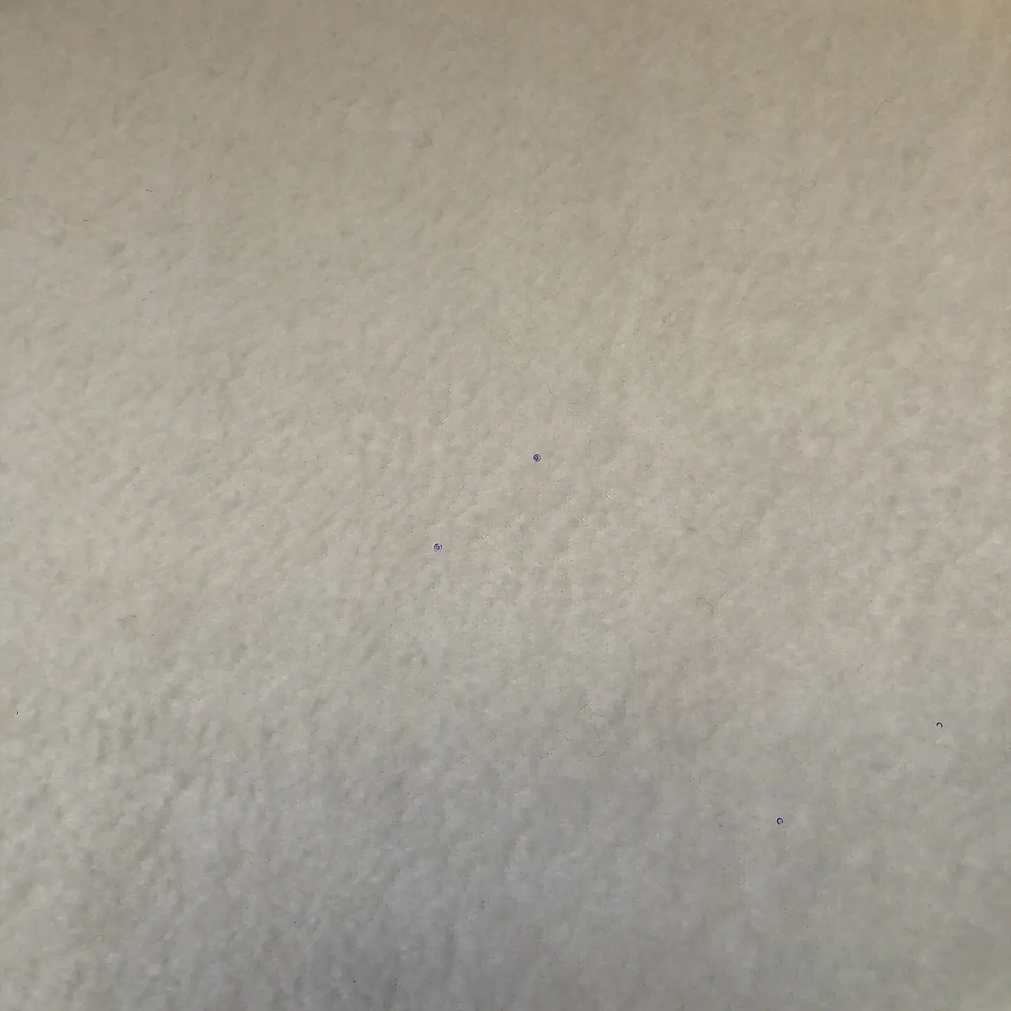 Polar 10