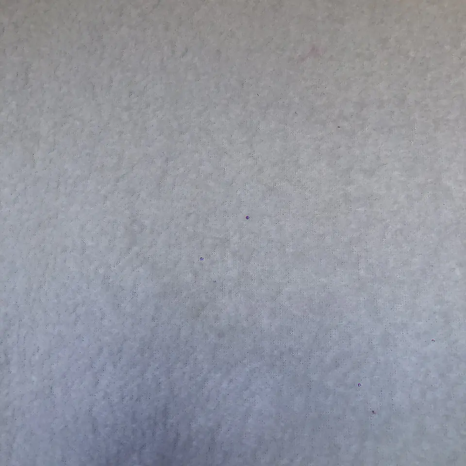 Polar 11