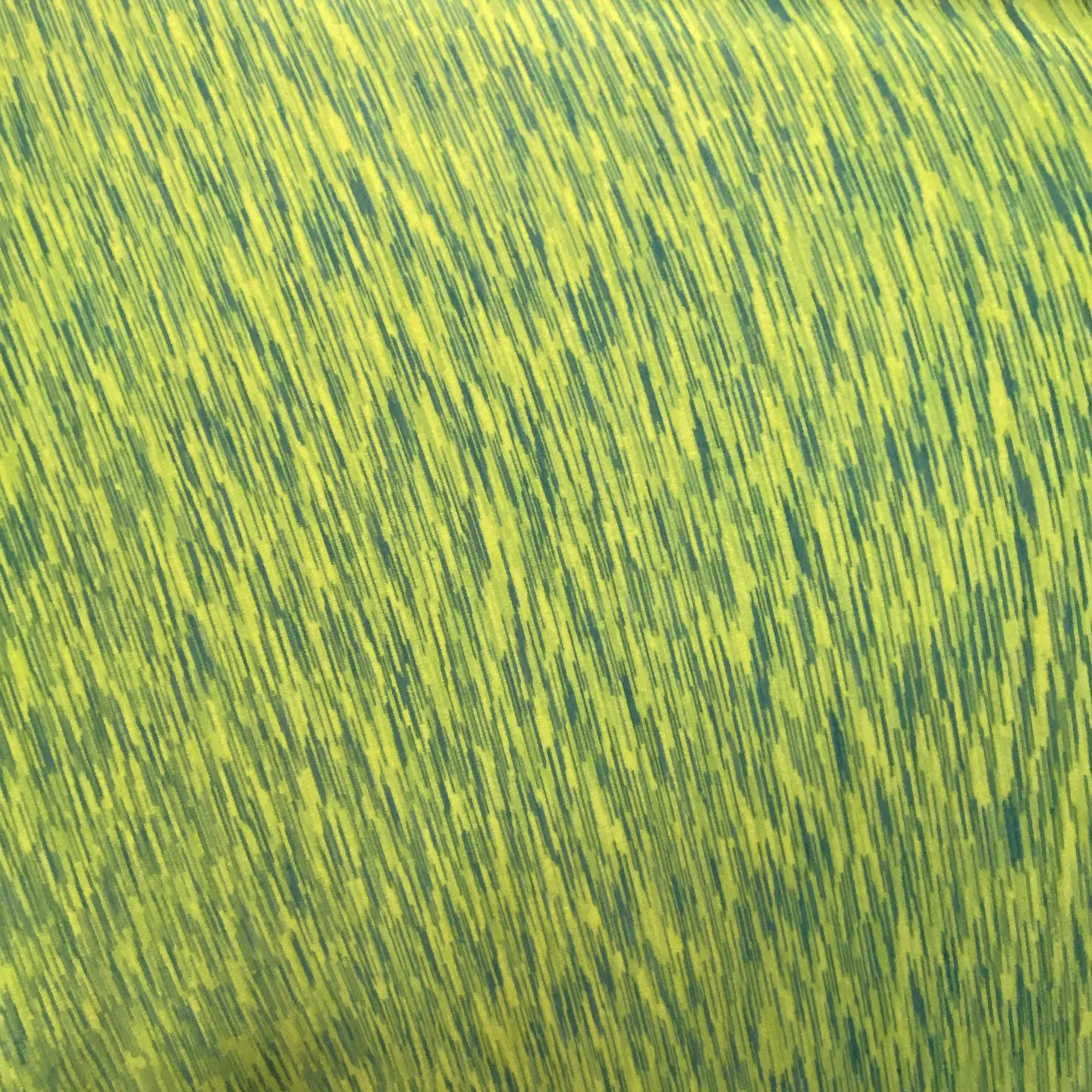 Lycra oferta 2