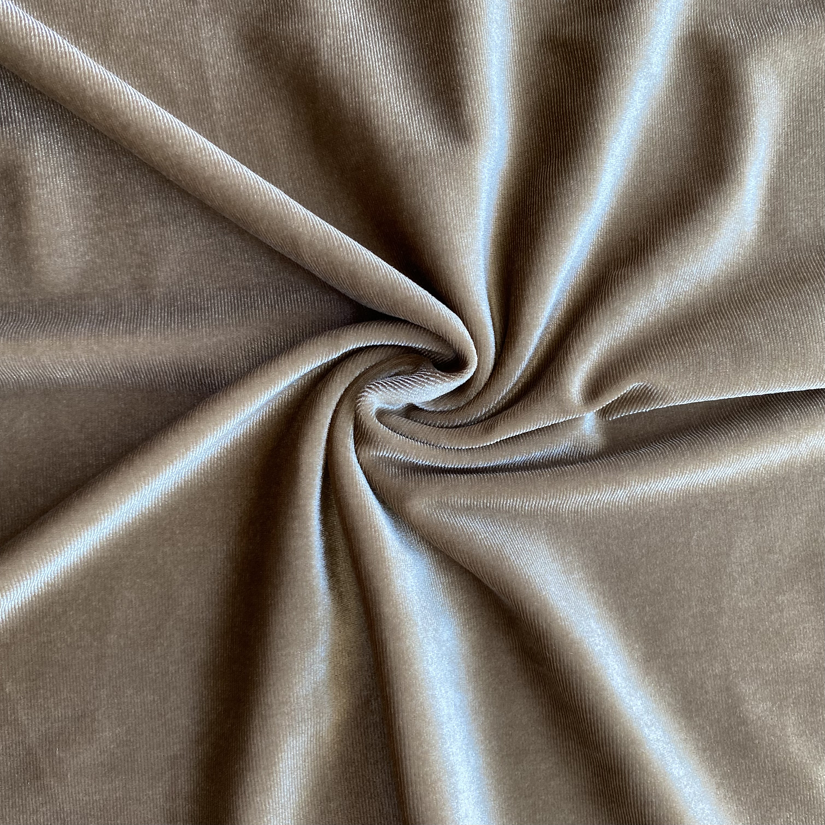 Terciopelo Elasticado  31