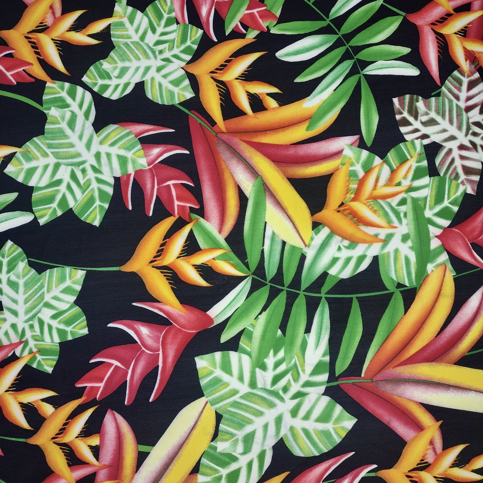 Lycra Dupont Hojas  4