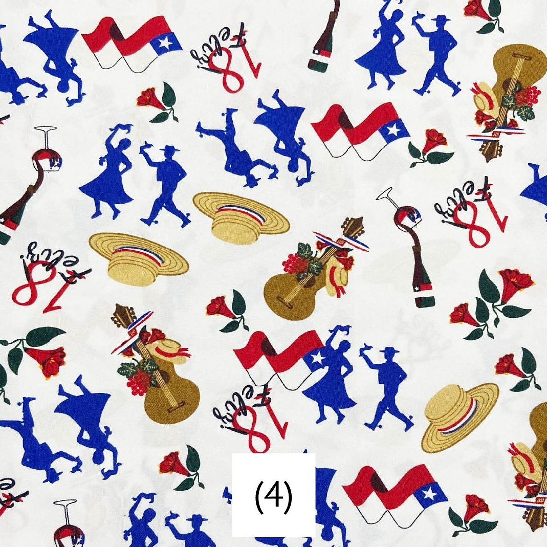 Biestrech Dieciochero 5