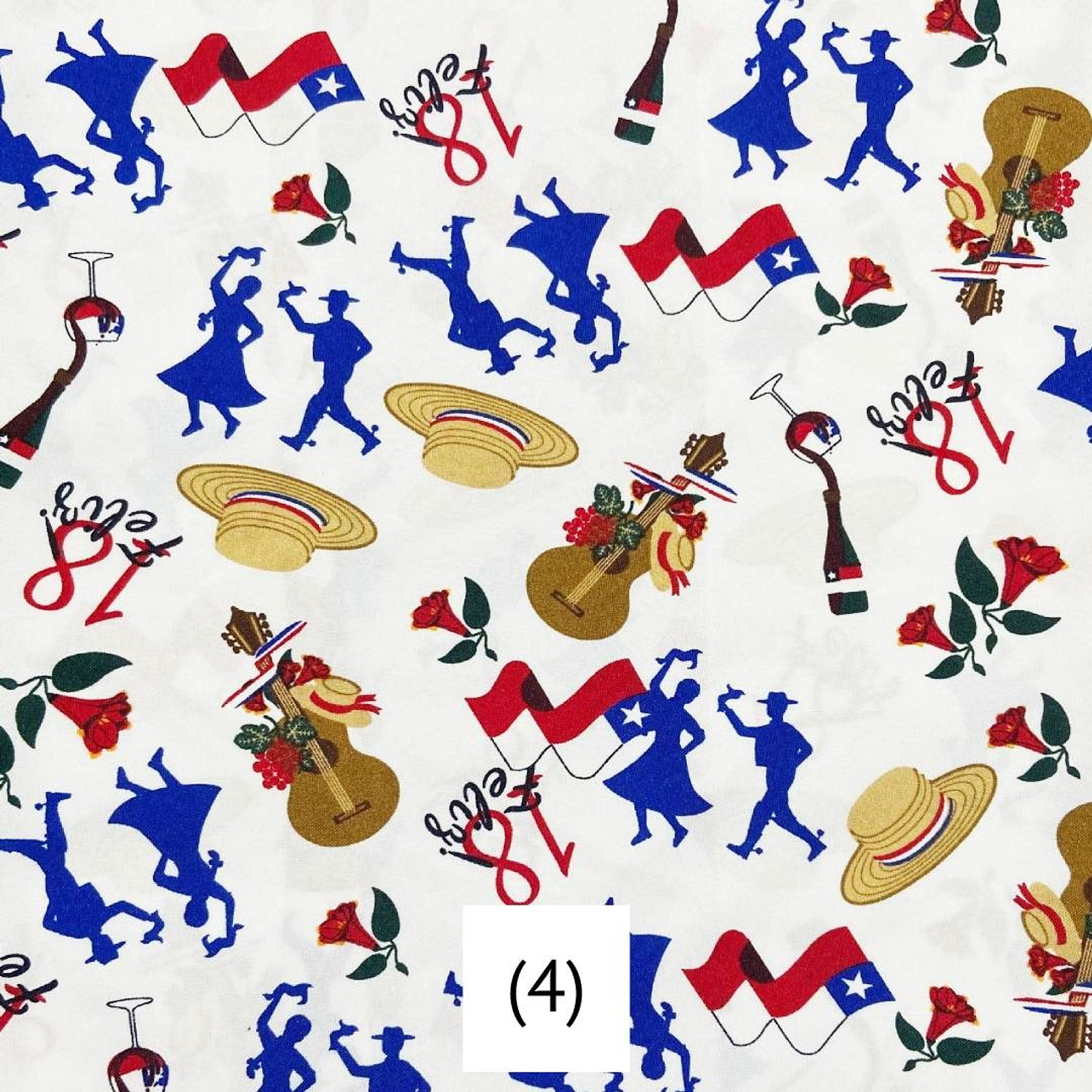 Biestrech Dieciochero 5