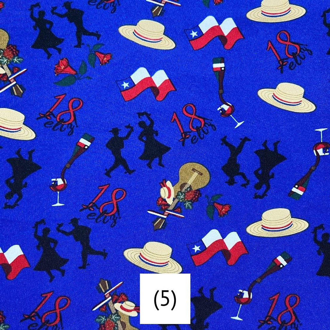 Biestrech Dieciochero 6