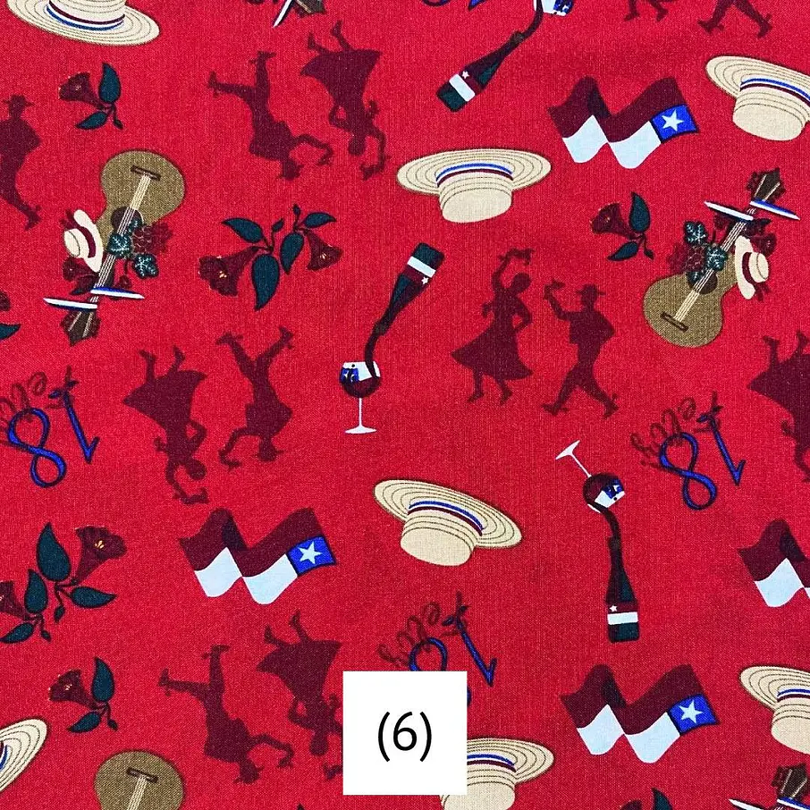 Biestrech Dieciochero 7