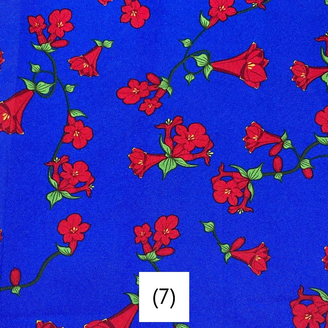 Biestrech Dieciochero 8